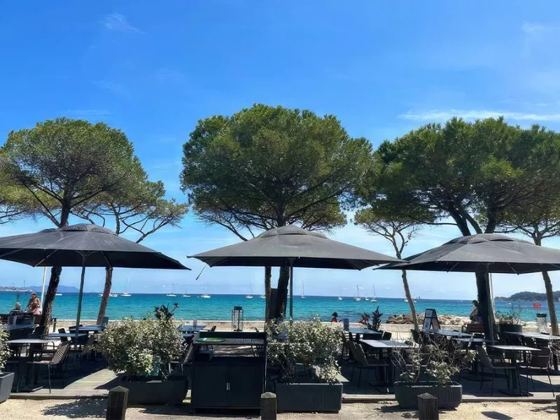 Les Copains Dabord Restaurant Vue Mer La Ciotat Vue Sur Mer